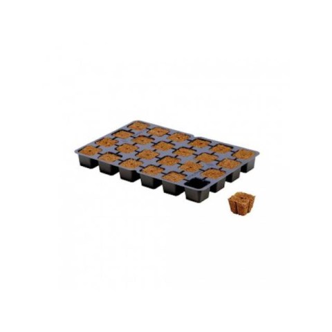 Eazy Plug CT24 dried